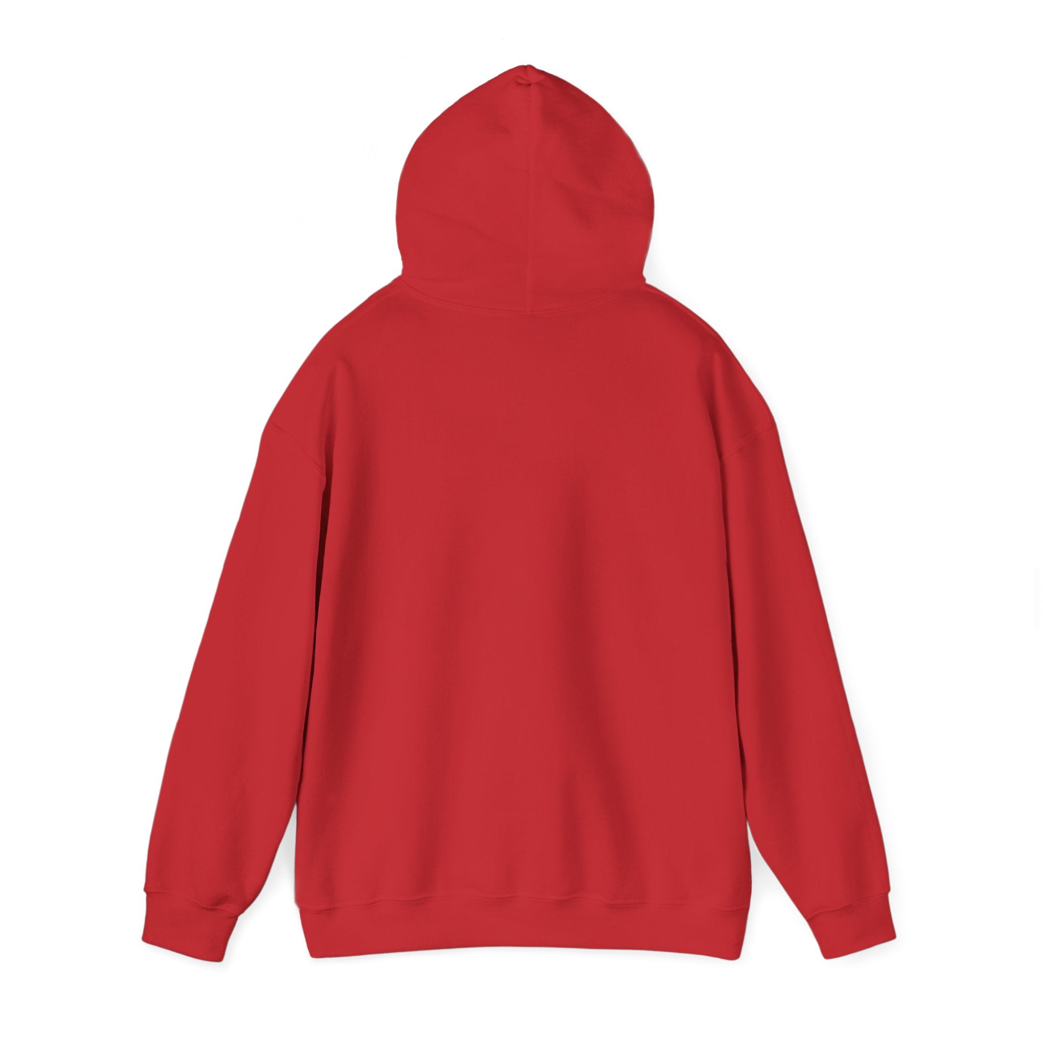 Live Love Camping in ASL (black ink) - Hoodie