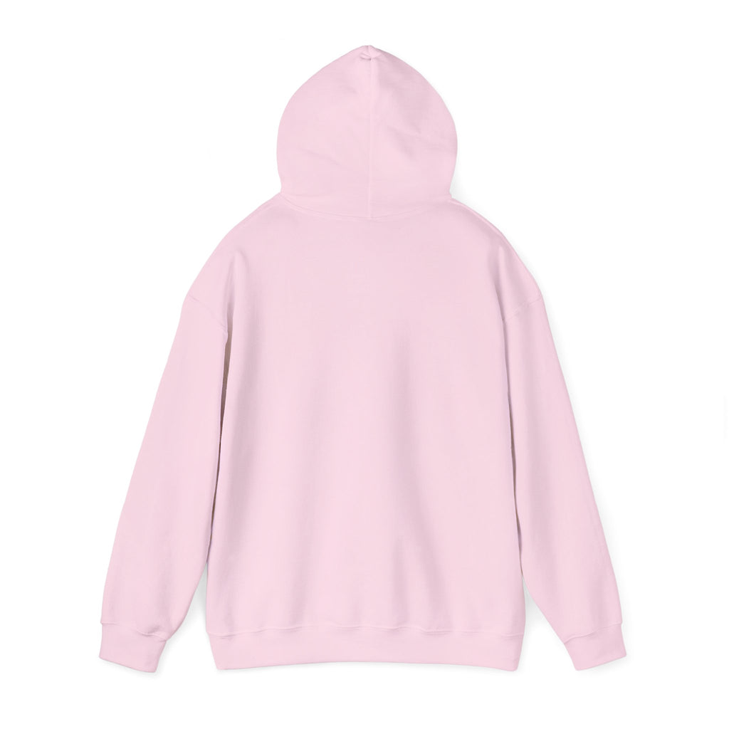 Live Love Camping in ASL (black ink) - Hoodie