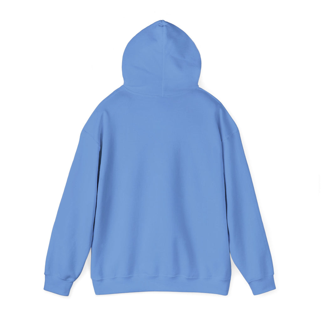 Live Love Camping in ASL (black ink) - Hoodie