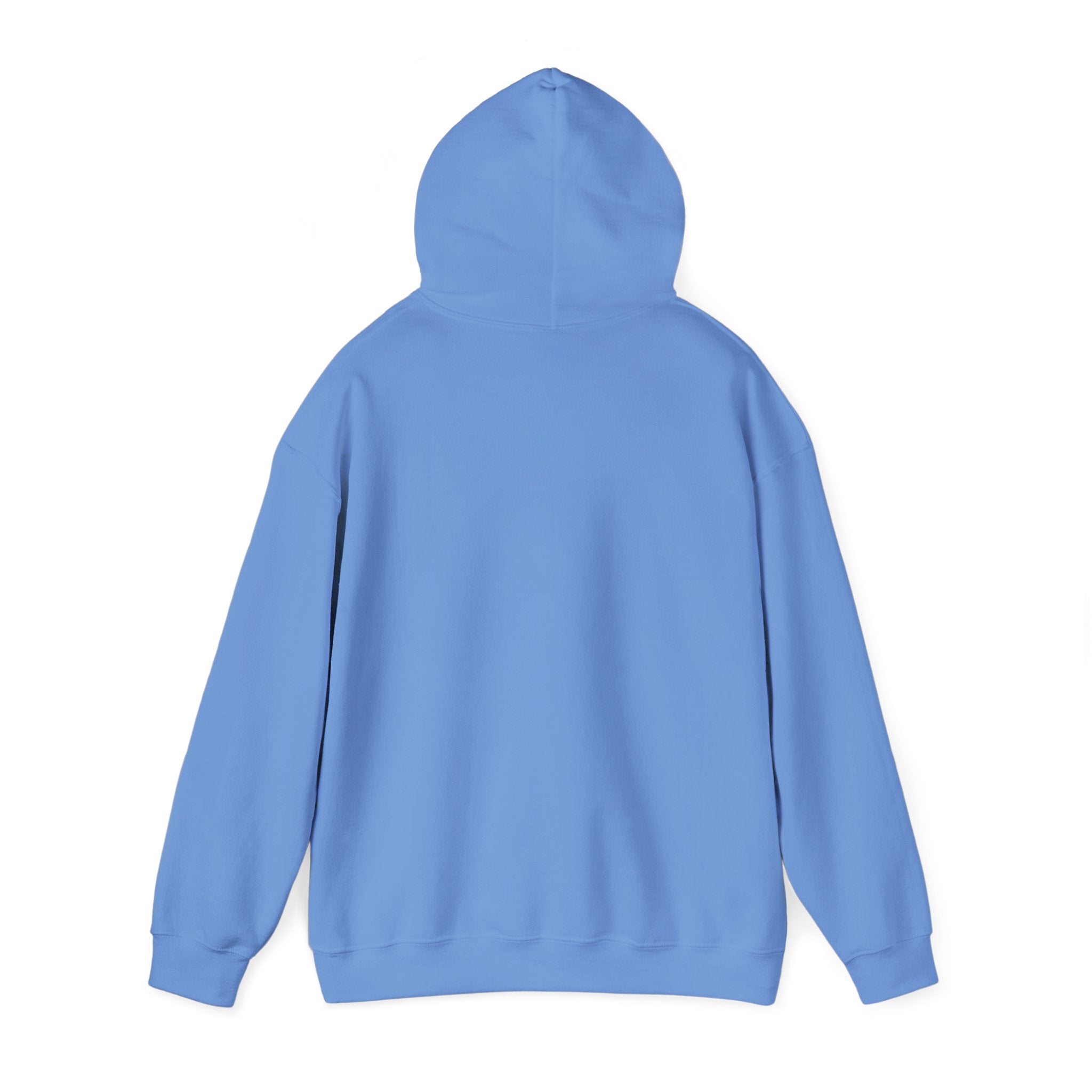 Live Love Camping in ASL (black ink) - Hoodie