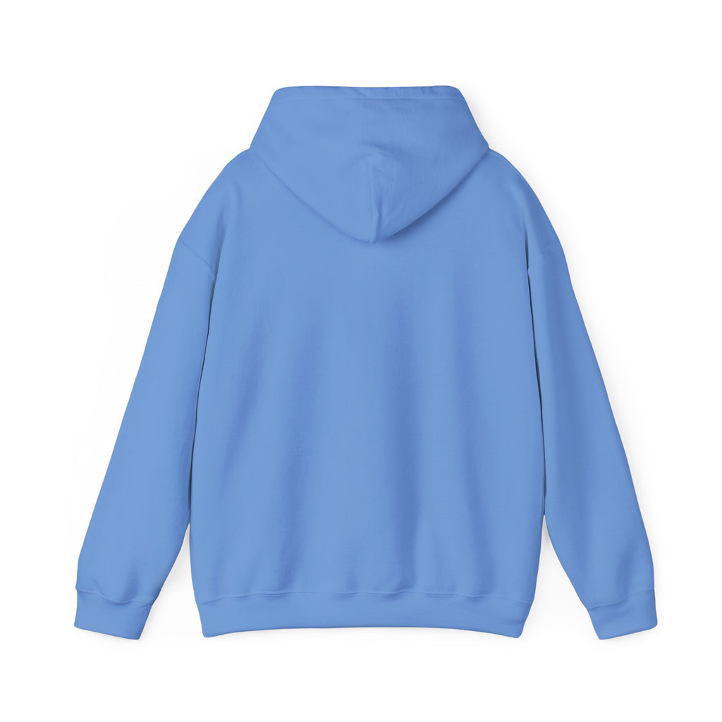 Live Love Camping in ASL (black ink) - Hoodie