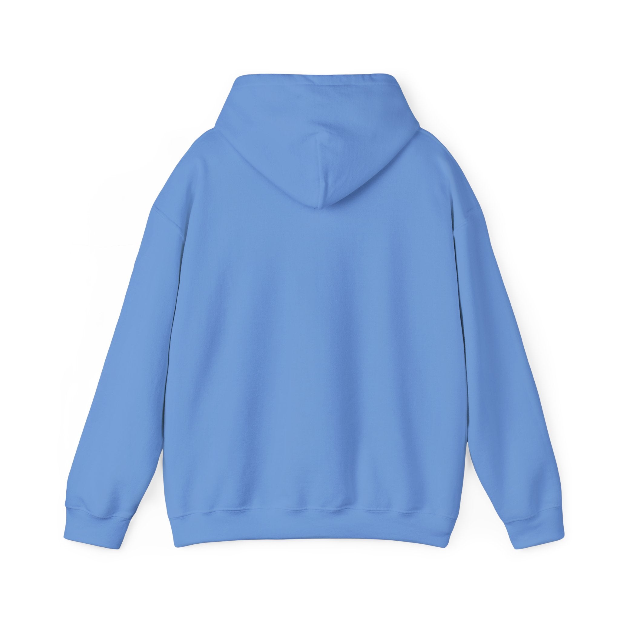 Live Love Camping in ASL (black ink) - Hoodie