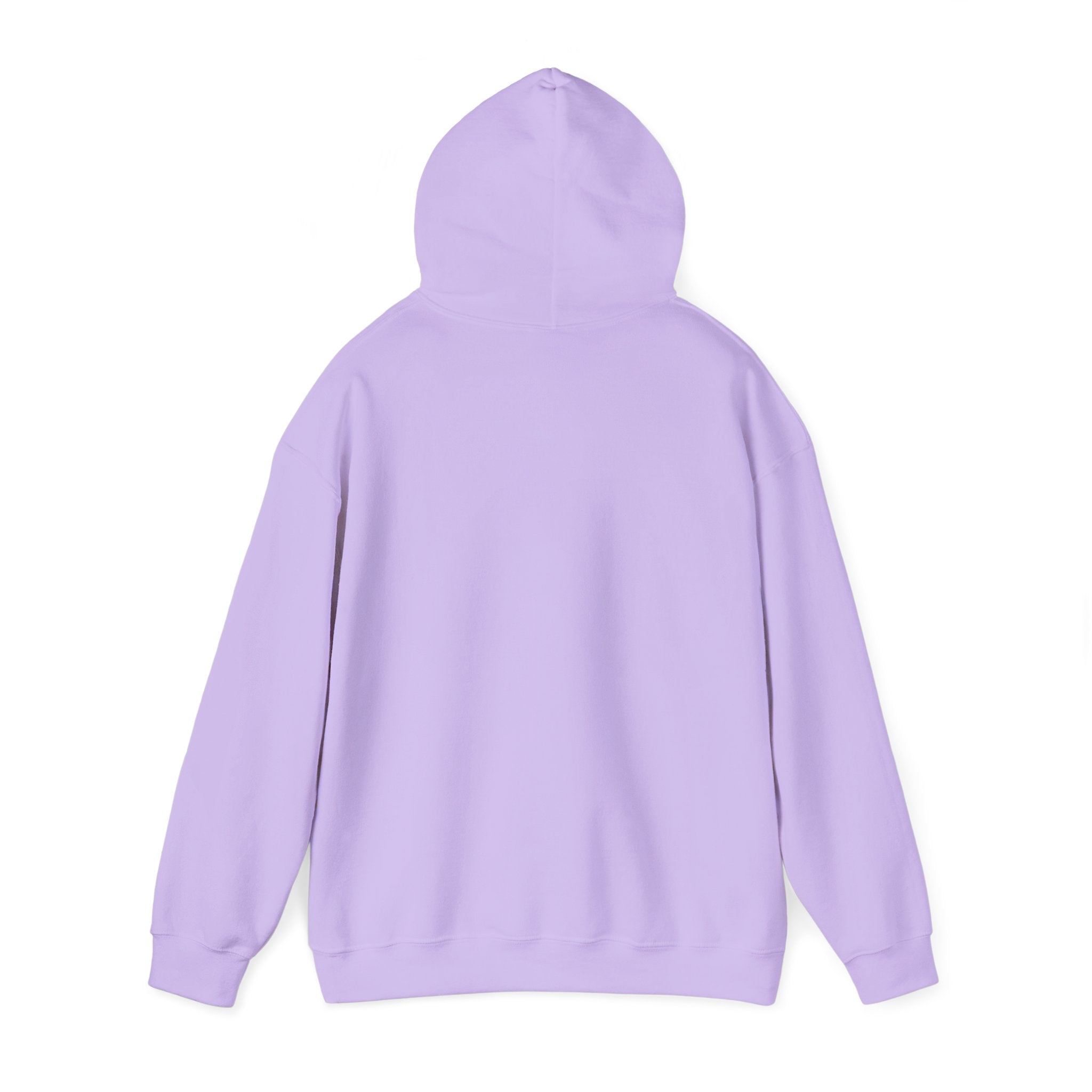 Live Love Camping in ASL (black ink) - Hoodie