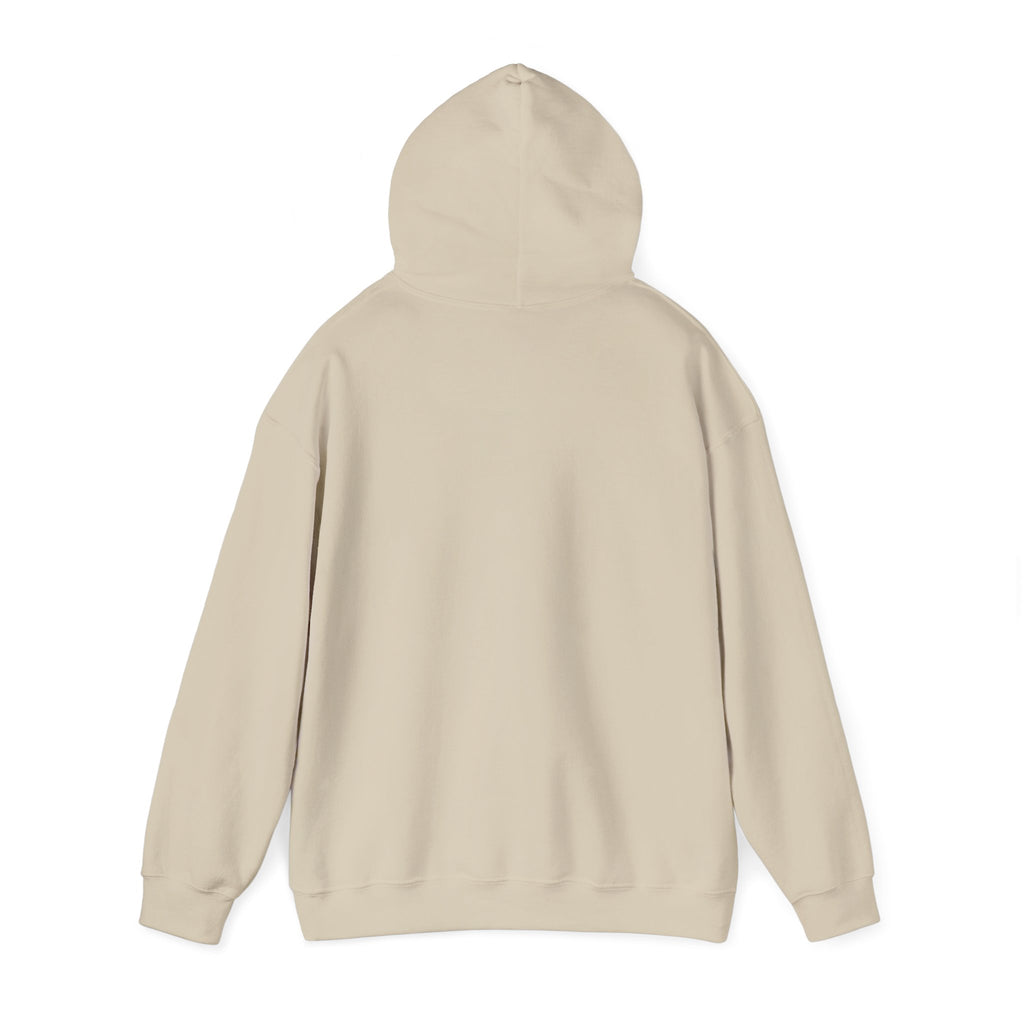 Live Love Camping in ASL (black ink) - Hoodie