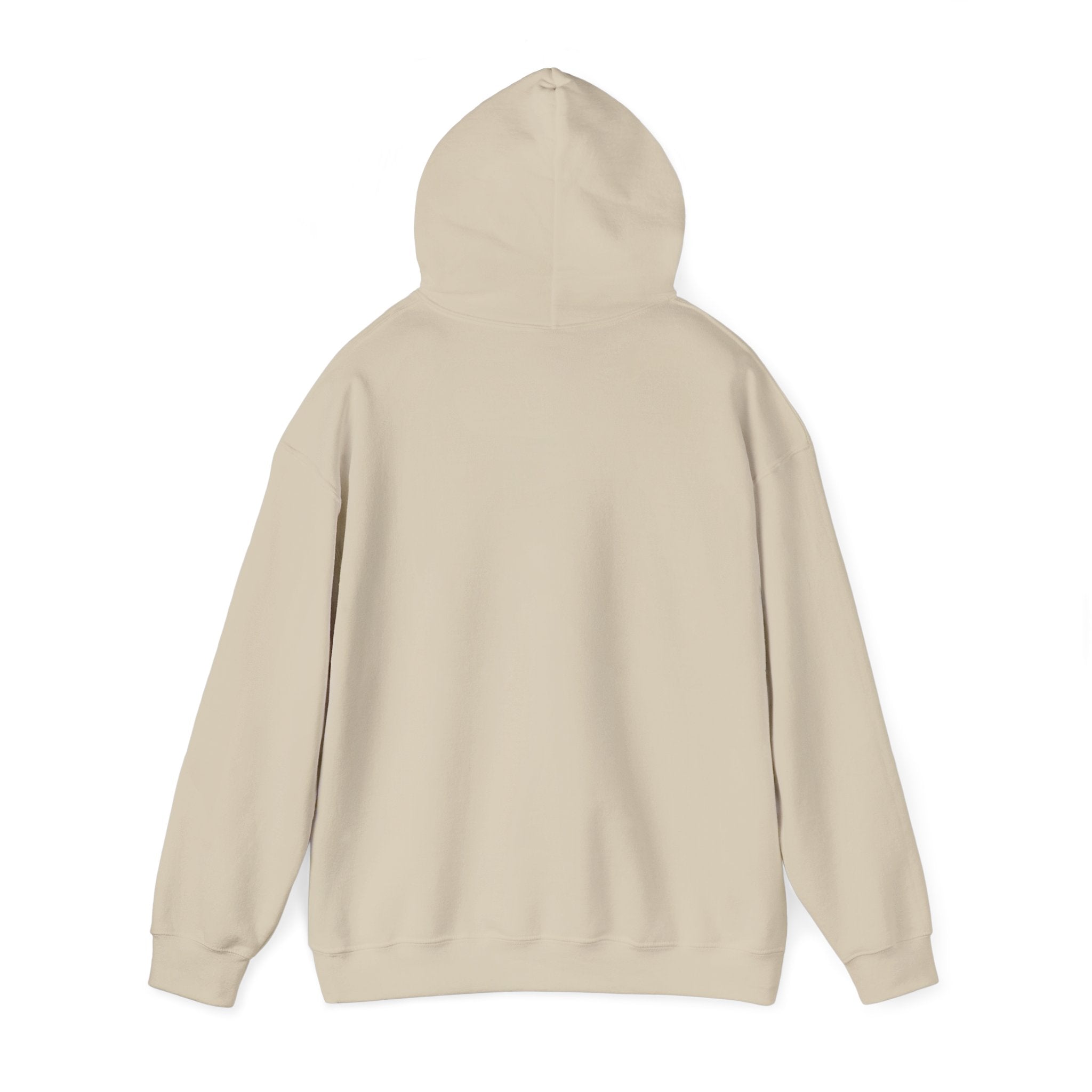 Live Love Camping in ASL (black ink) - Hoodie