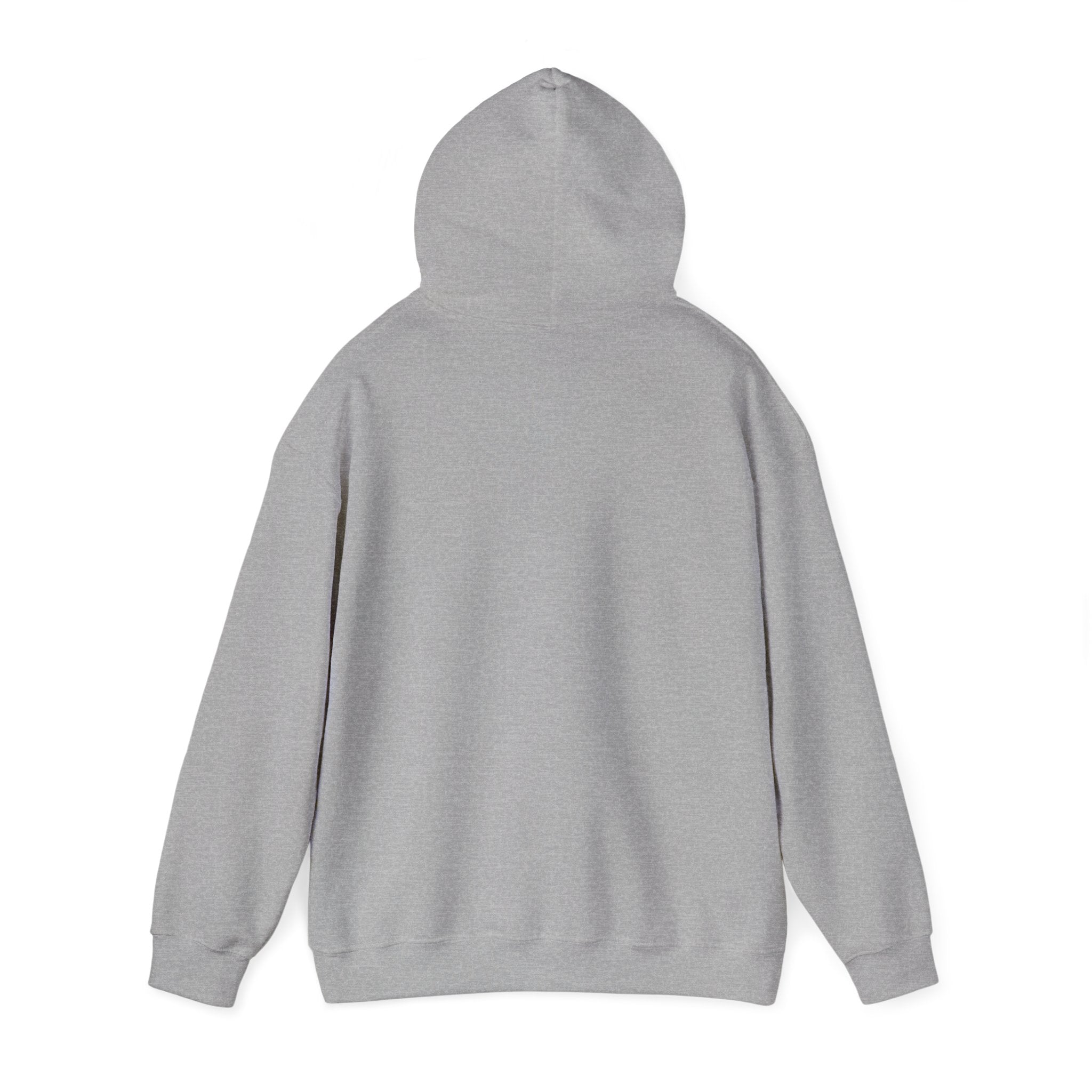 Live Love Camping in ASL (black ink) - Hoodie